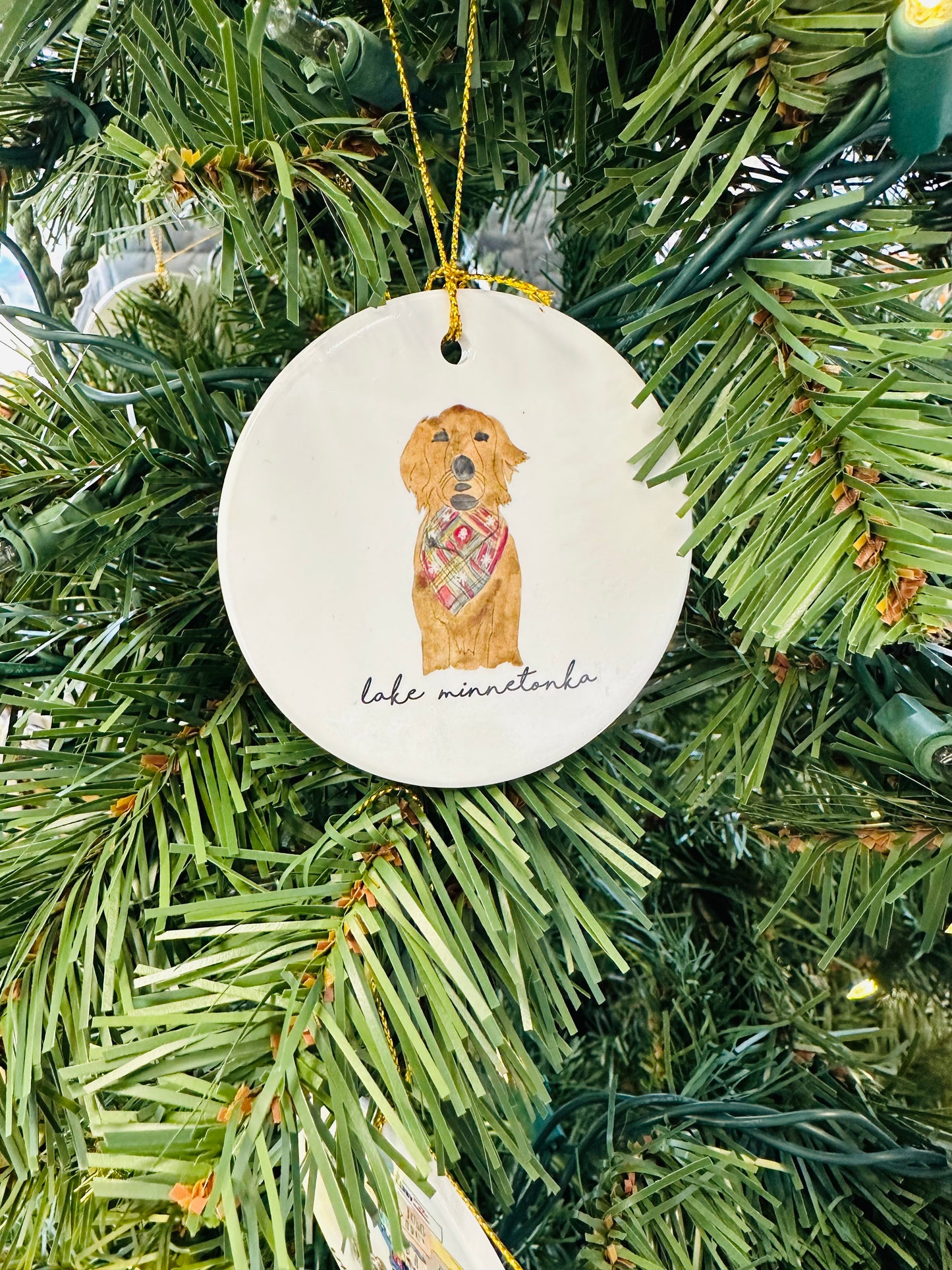 Dog Ornament by 213 Water