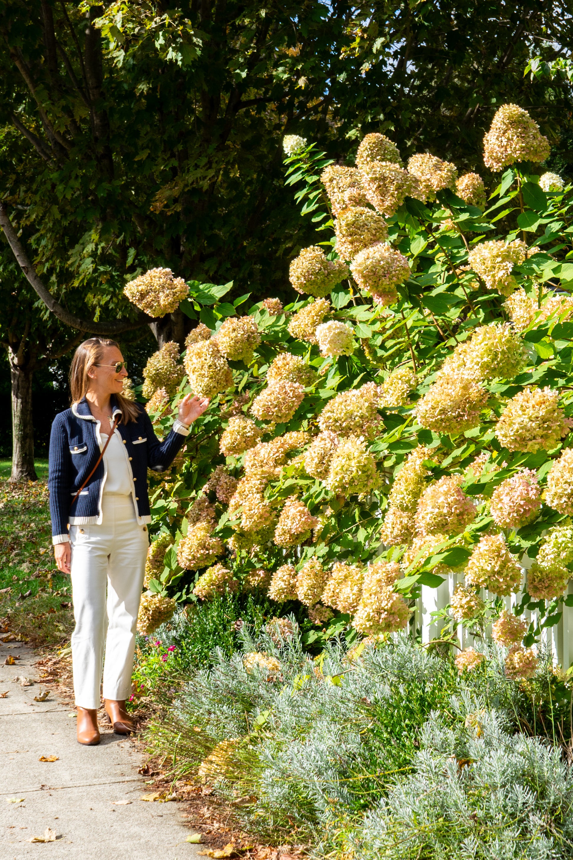 Woman standing next to a large bush with yellow flowers in a garden setting